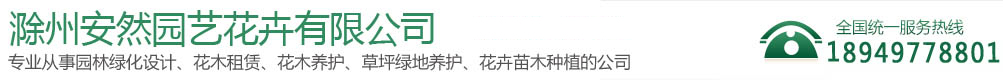 滁州安然園藝花卉有限公司