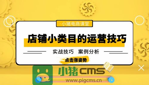 電商實(shí)戰(zhàn)b2c電商平臺小類目的運(yùn)營技巧